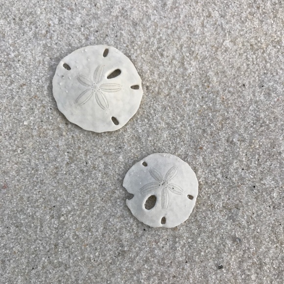 Meet your Posher, Tia - Picture 1 of 1